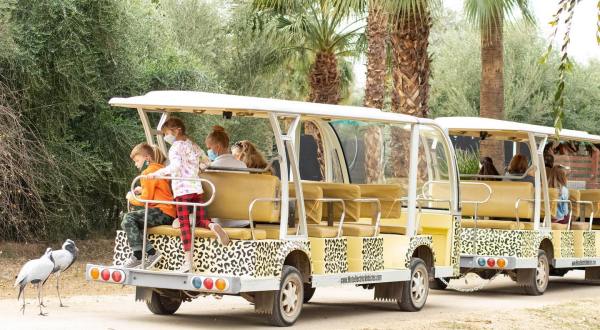 Go On A Realistic Safari As You Make Your Way Through Wildlife World Zoo In Arizona