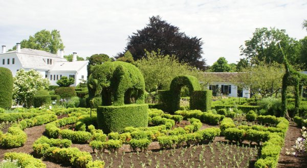 Rhode Island’s Topiary Garden, Green Animals Topiary Gardens, Is A Work Of Art