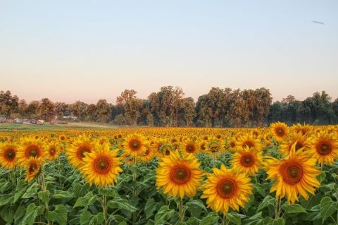 Clear Meadow Farm Is A Scenic Outdoor Spot In Maryland That's A Nature Lover’s Dream Come True