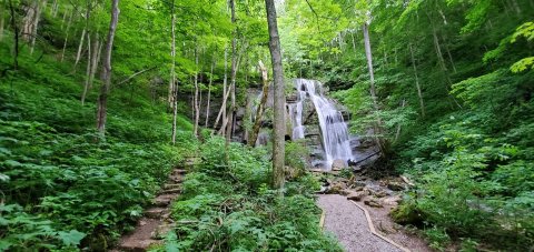 The Gorgeous .5-Mile Hike In Virginia That Will Lead You Past A Waterfall And River