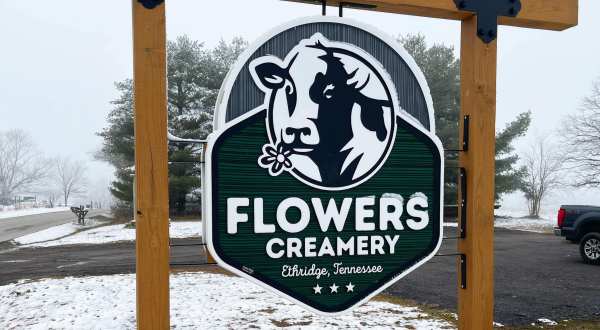 No Cheese Lover Can Resist The Fresh Farm-Made Cheeses At Flowers Creamery In Tennessee