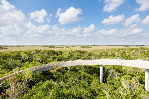 Explore Miles Of Unparalleled Views Of The Everglades On The Scenic Bike Trail In Florida