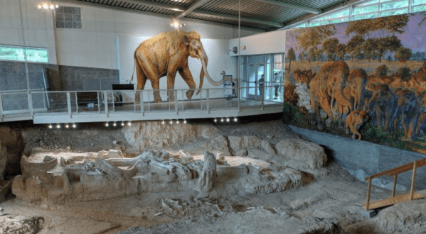 Waco Mammoth National Monument In Texas Brings Ancient History To Life