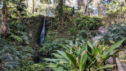 The Rainbow Springs Trail In Florida Is A 2-Mile Out-And-Back Hike With A Waterfall Finish
