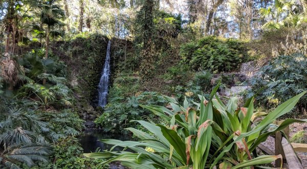 The Rainbow Springs Trail In Florida Is A 2-Mile Out-And-Back Hike With A Waterfall Finish