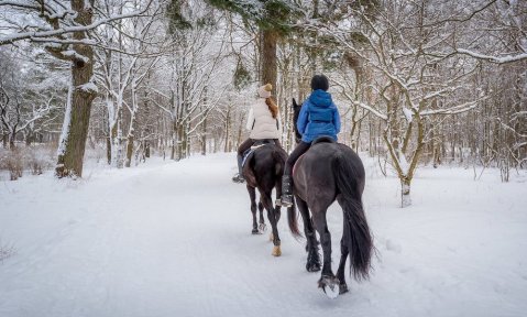 Take A Winter Trail Ride Through Utah's Pioneer History At This Is The Place Heritage Park