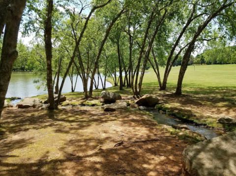 Plan A Peaceful Getaway To Milliken Arboretum In South Carolina