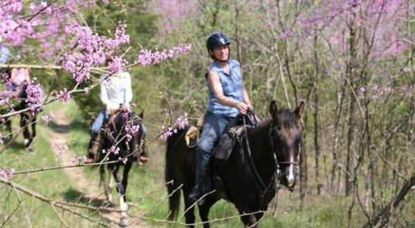 Explore Kentucky On Horseback With A Fun-Filled Trail Ride With Whispering Woods