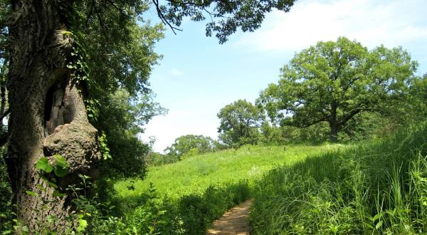 The Wildflower Loop, A One-Way Trail Through The Eloise Butler Wildflower Garden, Is A Minnesota Must-Do