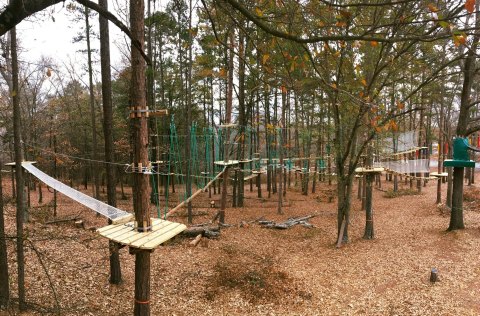 The Massive Aerial Obstacle Course Is Right Here In Georgia At Treetop Quest Adventure Park