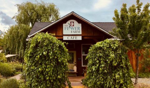 Visit The Restaurant That's In The Middle Of A Citrus Orchard, The Flower Farm Cafe, In Northern California