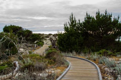 Take On This Beach Boardwalk Hike In Northern California For Fantastic Coastal Views