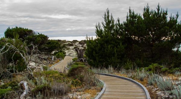 Take On This Beach Boardwalk Hike In Northern California For Fantastic Coastal Views