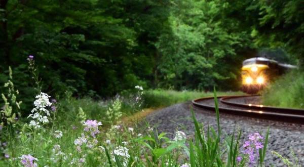 The Cuyahoga Valley Scenic Railroad National Park Scenic Ride Offers Some Of The Most Breathtaking Views In Ohio