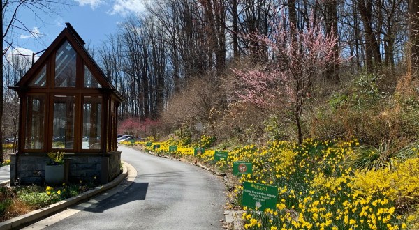 This Beautiful 50-Acre Garden In Maryland Is A Sight To Be Seen