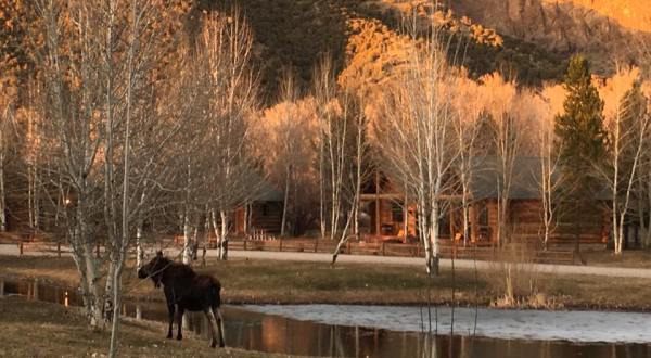 Aspen Grove Inn Is A Rustic Cottage Resort In Idaho That’s Just Steps Away From A Trout Pond