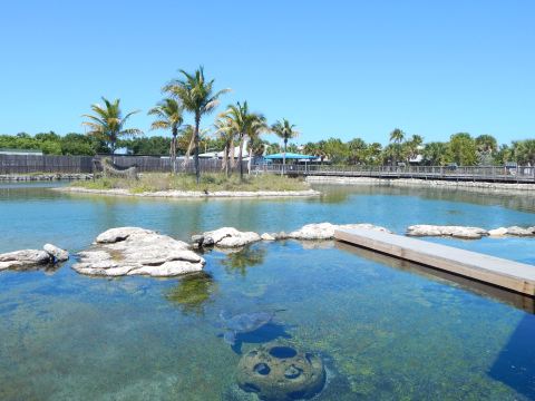 The Outdoor Discovery Park In Florida That’s Perfect For A Family Day Trip