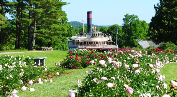 Take This Road Trip To The 5 Most Eye-Popping Peony Fields In Vermont