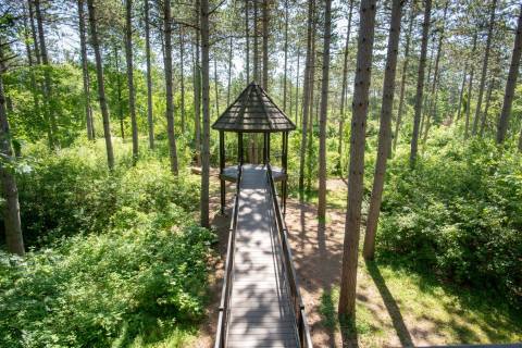 With A Magnificent Treehouse And Peaceful Gardens, An Idyllic Adventure Awaits At Monk Botanical Gardens In Wisconsin  