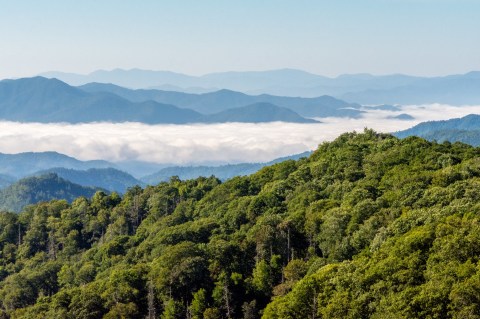 Tennessee's Great Smoky Mountains National Park Is The Most Visited Park In The Country, And It's Easy To See Why