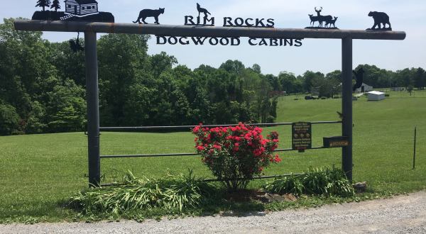 Immerse Yourself In Nature With A Stay At Rim Rock’s Dogwood Cabins In Illinois