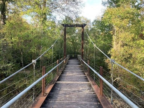 Some Of The Prettiest Scenery Is Found Along The River Loop Trail Near New Orleans