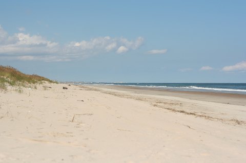 This Hidden Beach Along The Virginia Coast Is The Best Place To Find Seashells