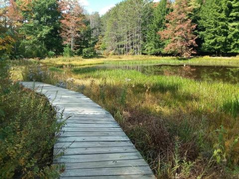 This Pennsylvania Park Has Endless Boardwalks And You'll Want To Explore Them All