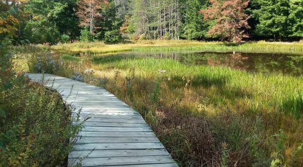 This Pennsylvania Park Has Endless Boardwalks And You’ll Want To Explore Them All