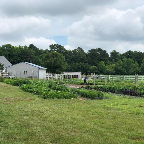 Hook Family Farm Is A Tiny Delaware Farm That Grows Fresh Produce, Flowers, And More
