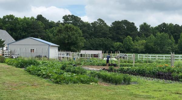 Hook Family Farm Is A Tiny Delaware Farm That Grows Fresh Produce, Flowers, And More