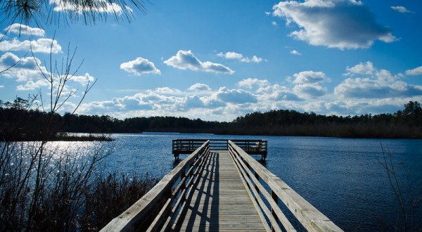 Explore Miles Of Unparalleled Views Of Marshes On The Scenic Prime Hook National Wildlife Refuge Trails In Delaware