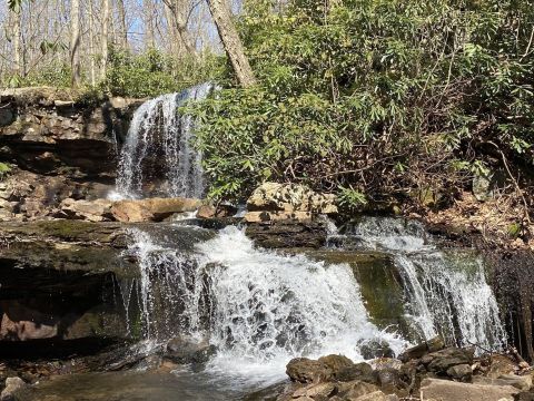 The Gorgeous 2.5-Mile Hike Near Pittsburgh In Forbes State Forest That Will Lead You Past A Wetlands And A Waterfall