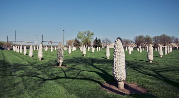 The Field of Corn In Ohio Just Might Be The Strangest Tourist Trap Yet