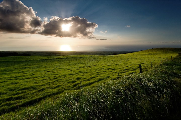 beautiful field in Hawi, Hawaii