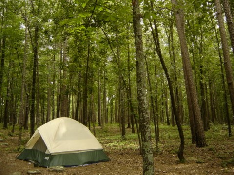 Kick Off Camping Season With A Weekend At Redding Rec In Arkansas