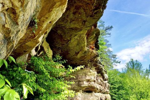 The One Trail To Visit As Soon As Things Begin To Bloom In Kentucky