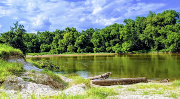 Over 1,700 Acres Of Adventure Awaits You At Bogue Chitto State Park Near New Orleans