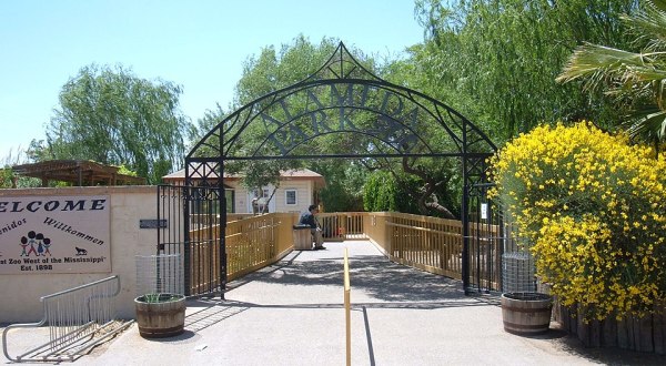 New Mexico’s Alameda Park Zoo Is One Of The Oldest Zoos In The Southwest
