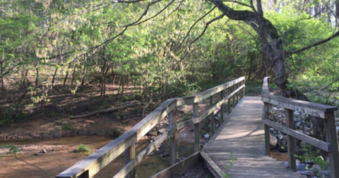 Discover Two Of Alabama's Hidden Gems In One Trip When You Visit Wood Duck Heritage Preserve And Siddique Nature Park