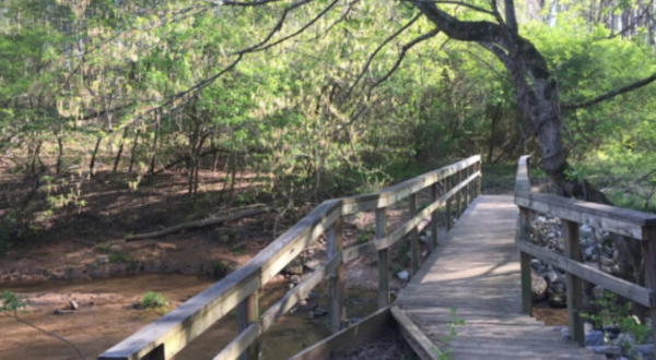 Discover Two Of Alabama’s Hidden Gems In One Trip When You Visit Wood Duck Heritage Preserve And Siddique Nature Park