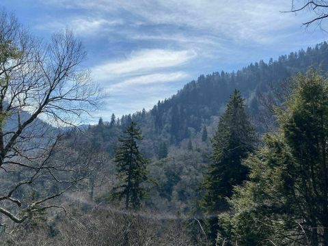 Some Of The Most Stunning Views In Tennessee Can Be Seen From The Chimney Tops Trail