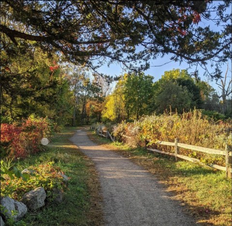 Explore A Revolutionary War Battleground On Battle Road Trail In Massachusetts
