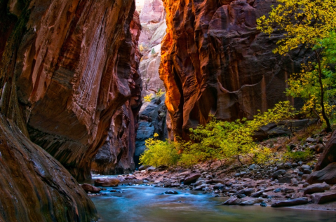 Explore Acres Of Unparalleled Views Of A Desert Oasis On The Scenic Emerald Pools Trail In Utah