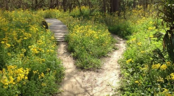 This 5-Mile Spillway Trail In Louisiana Is The Perfect Springtime Hike