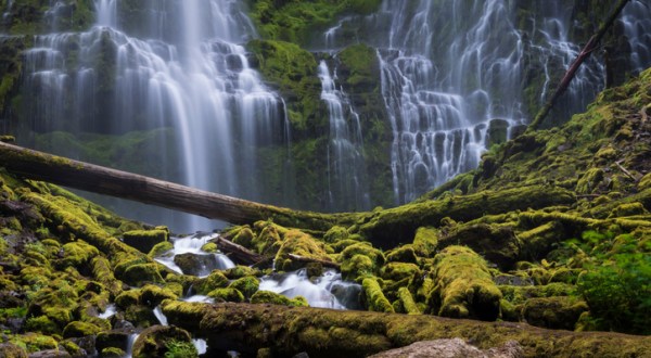 The Gorgeous 1.5-Mile Hike In Oregon’s Willamette National Forest That Will Lead You Past A Waterfall