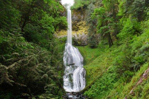 The Most Underrated Waterfall Trail In Oregon, Pup Creek Falls, Is A Delightful Day Hike