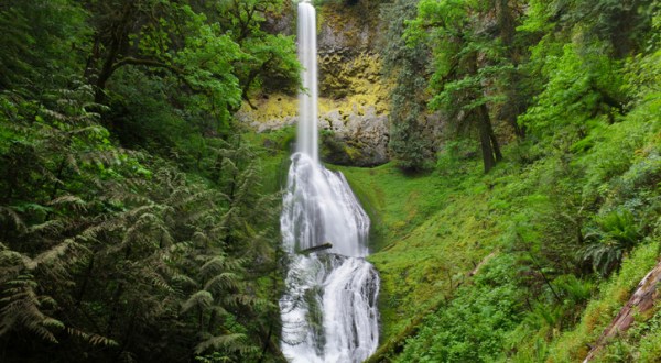 The Most Underrated Waterfall Trail In Oregon, Pup Creek Falls, Is A Delightful Day Hike