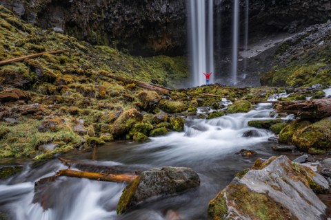 The Tamanawas Falls Trail In Oregon Is A 3.8-Mile Out-And-Back Hike With A Waterfall Finish