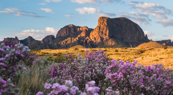 Big Bend National Park: Explore Dramatic Canyons And Impressive Mountain Peaks In Texas